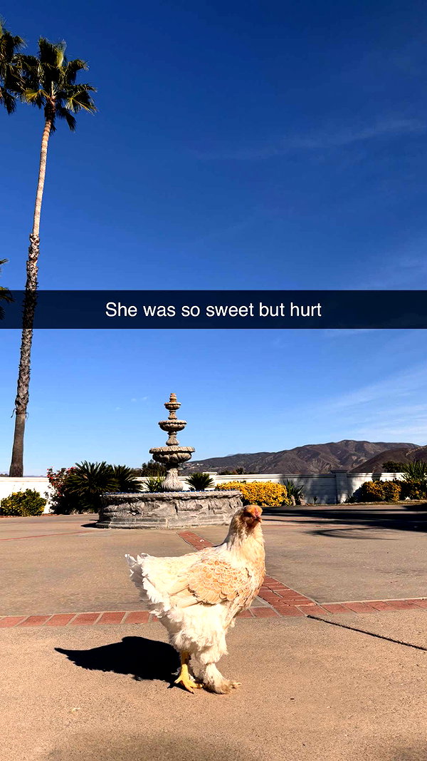 imchloebleu snapchat image archive image