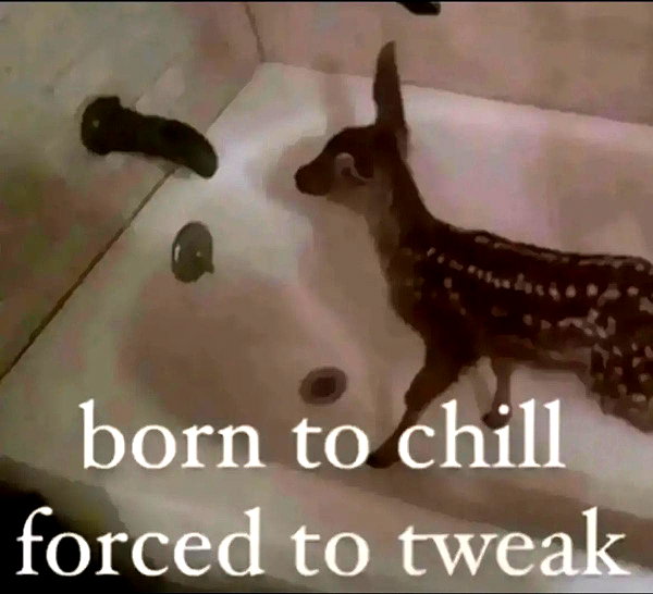imchloebleu snapchat image archive image
