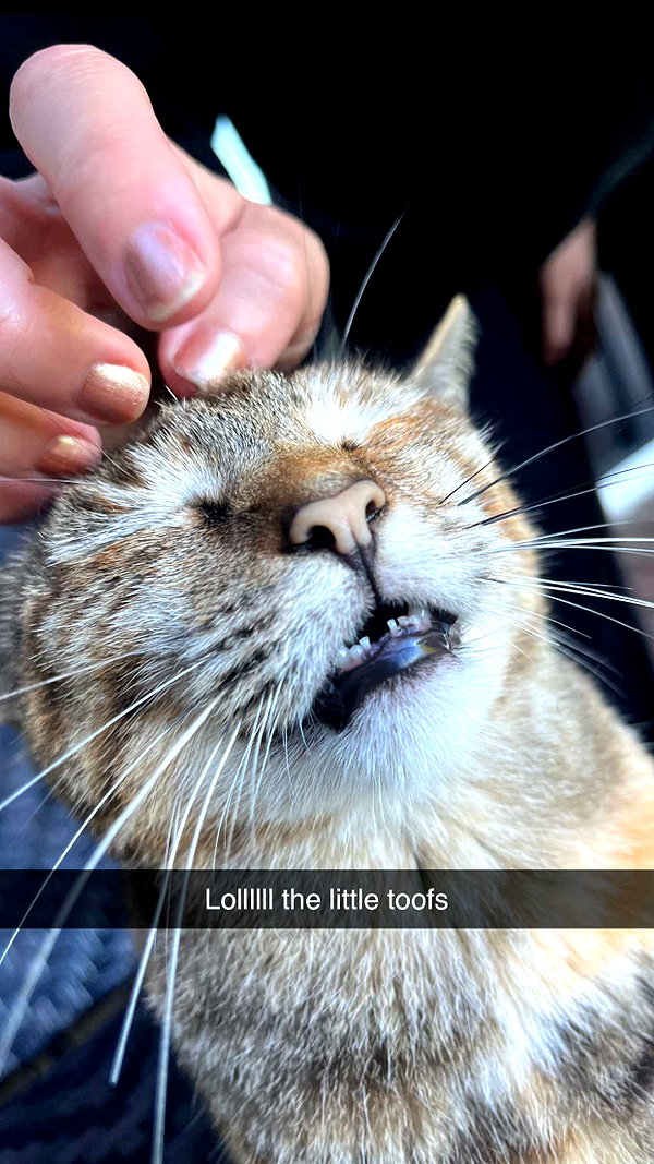 imchloebleu snapchat image archive image