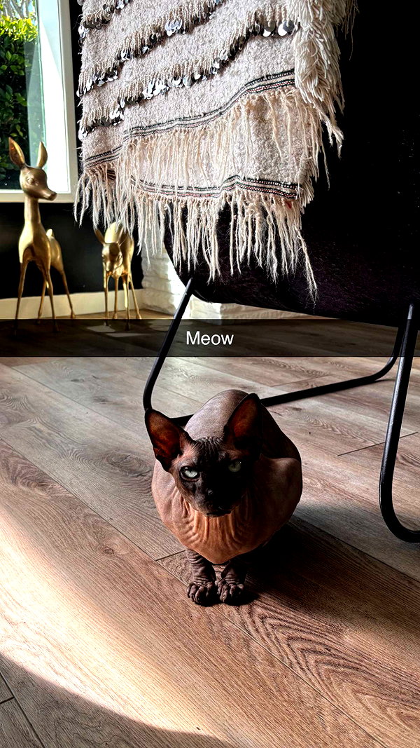 imchloebleu snapchat image archive image