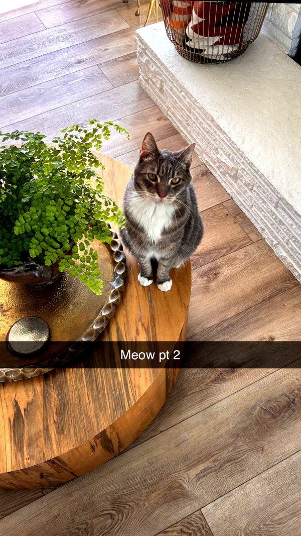 imchloebleu snapchat image archive image