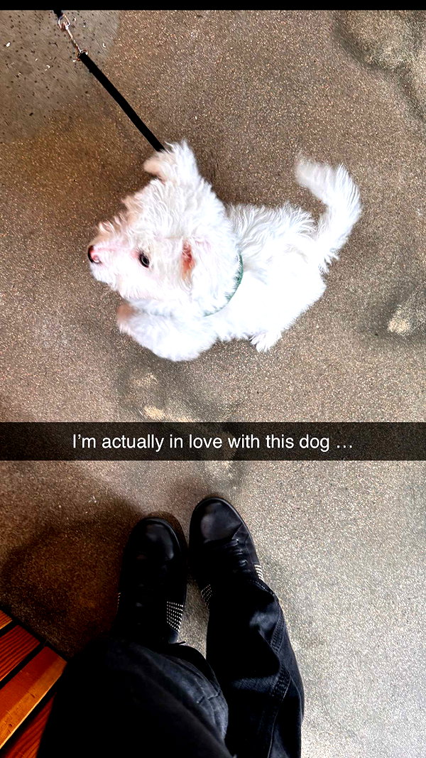 imchloebleu snapchat image archive image