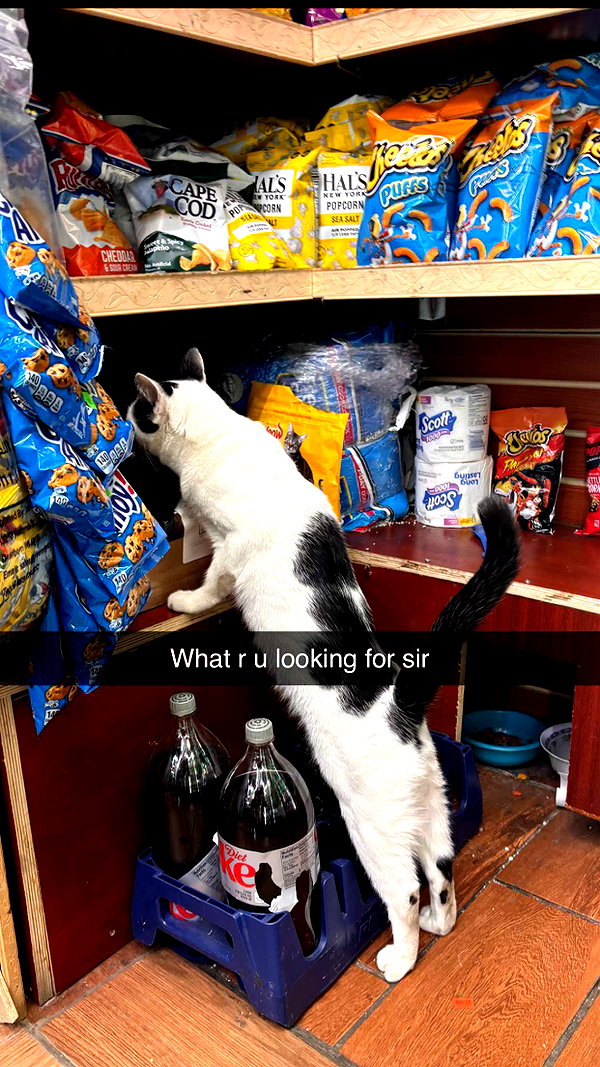 imchloebleu snapchat image archive image