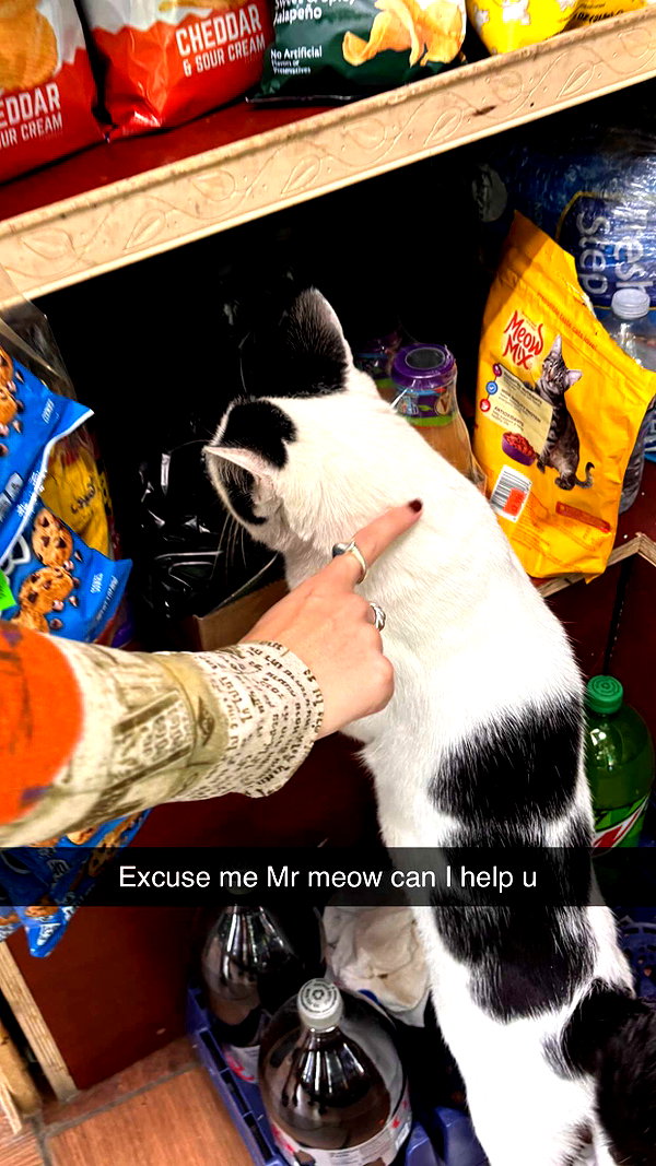 imchloebleu snapchat image archive image