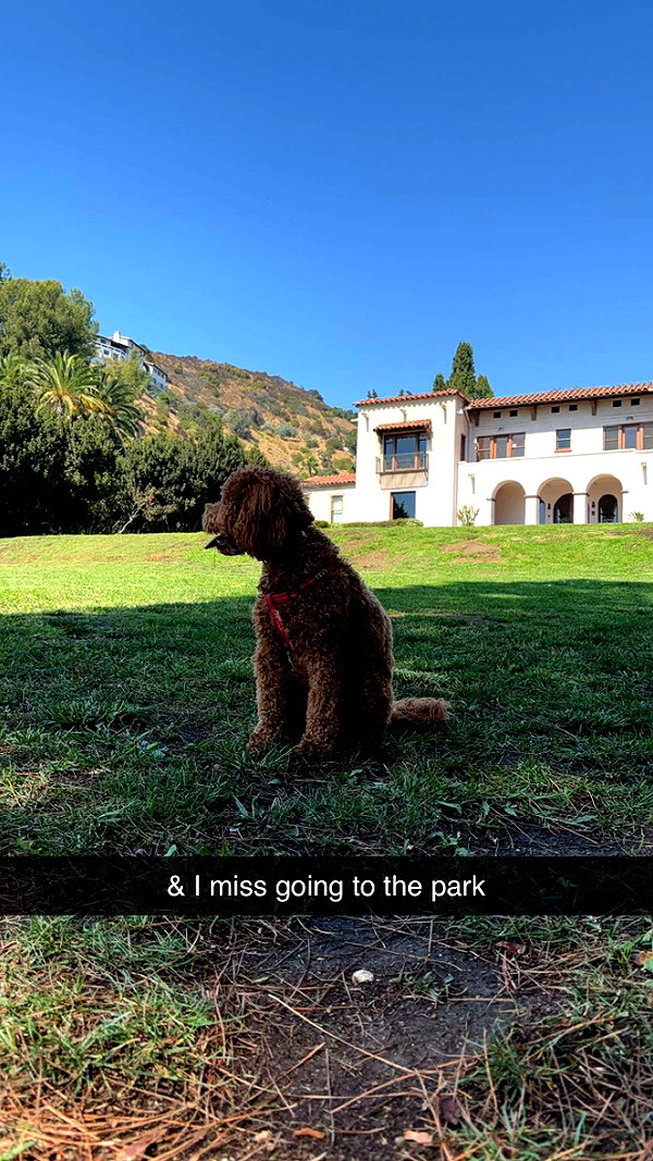 imchloebleu snapchat image archive image