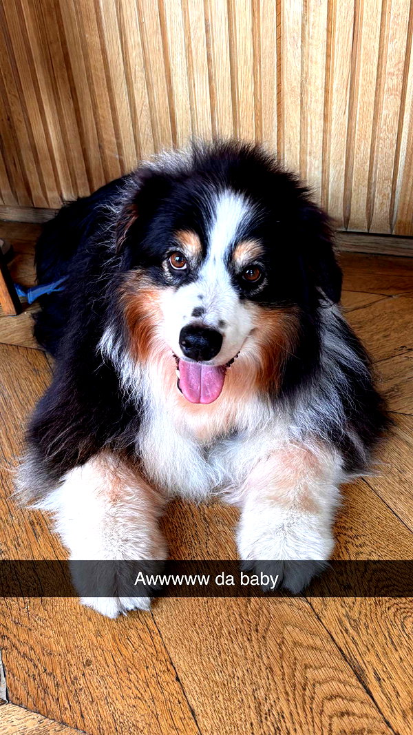 imchloebleu snapchat image archive image
