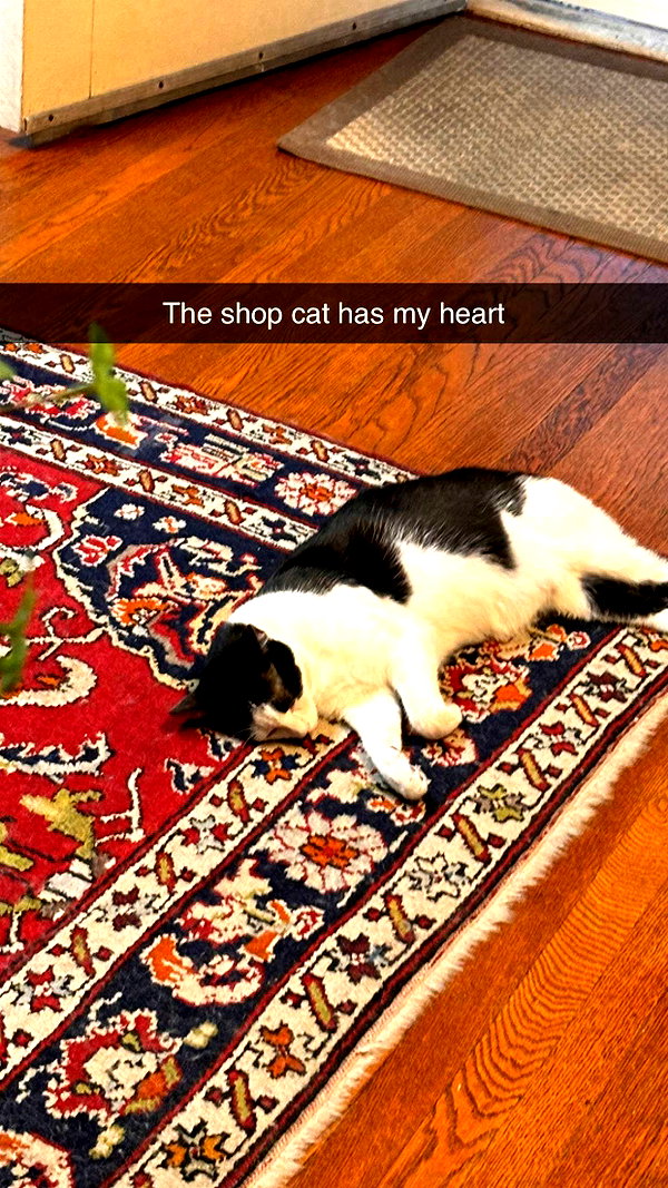 imchloebleu snapchat image archive image