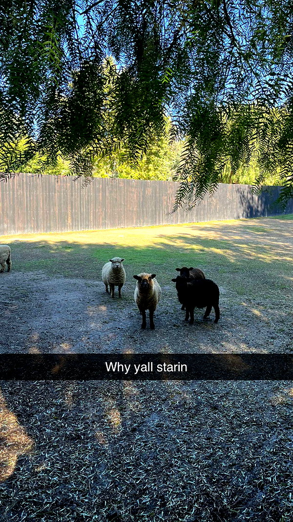 imchloebleu snapchat image archive image