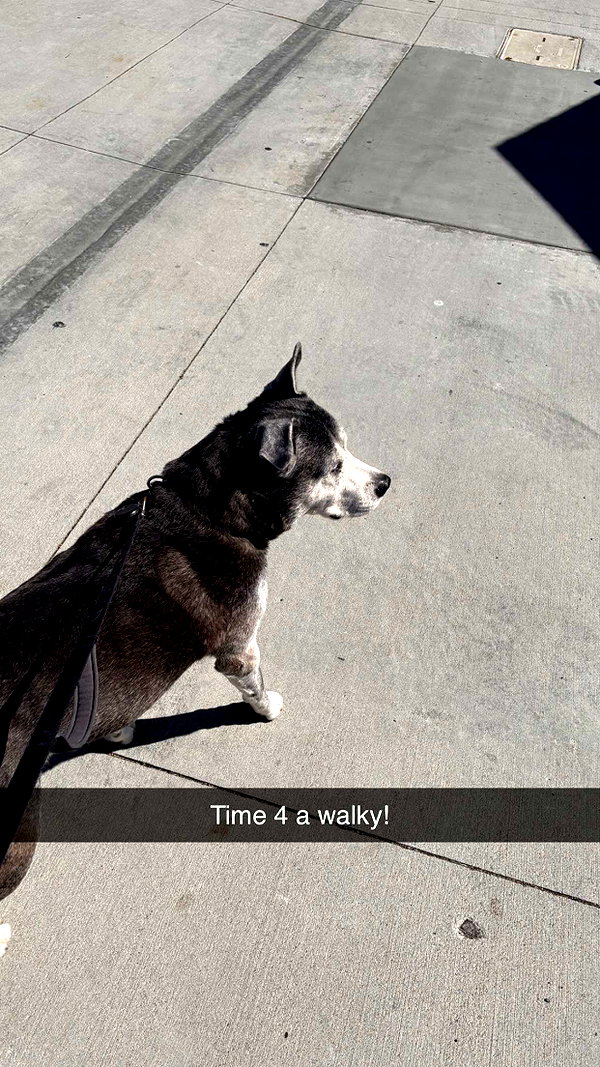 imchloebleu snapchat image archive image
