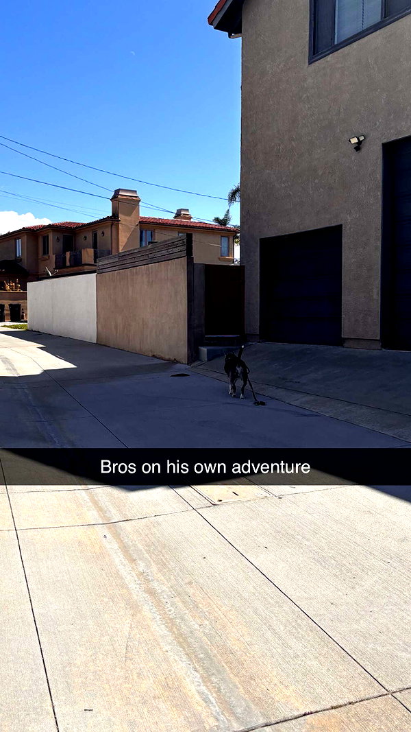 imchloebleu snapchat image archive image