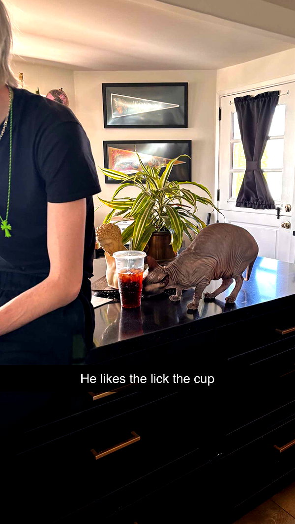 imchloebleu snapchat image archive image