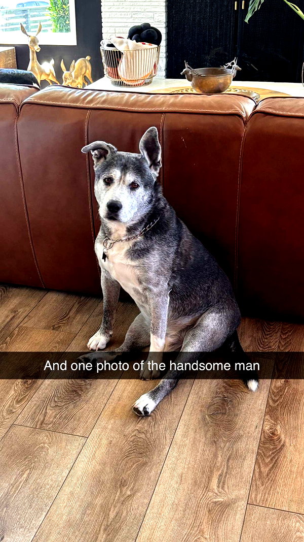imchloebleu snapchat image archive image