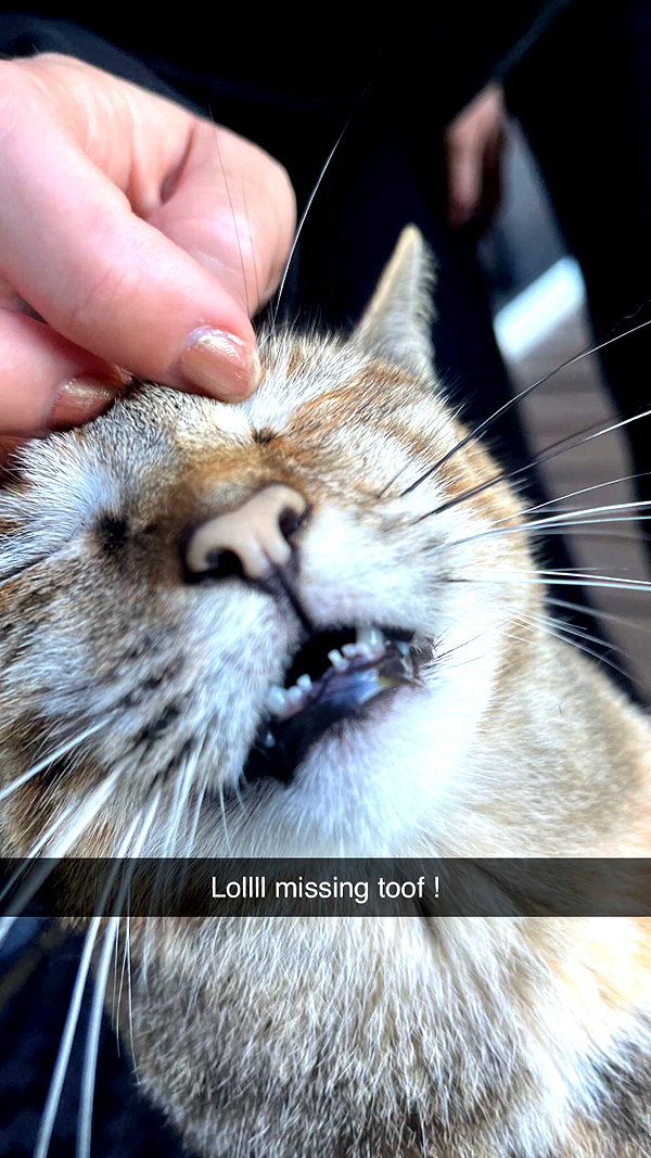 imchloebleu snapchat image archive image