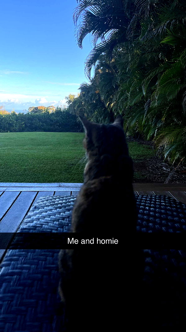 imchloebleu snapchat image archive image