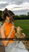 imchloebleu Altpins Profile Picture