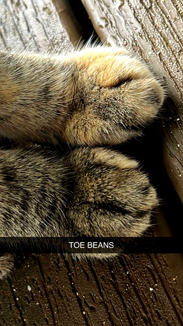imchloebleu snapchat image archive image