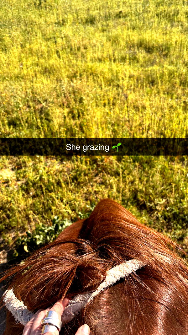 imchloebleu snapchat image archive image