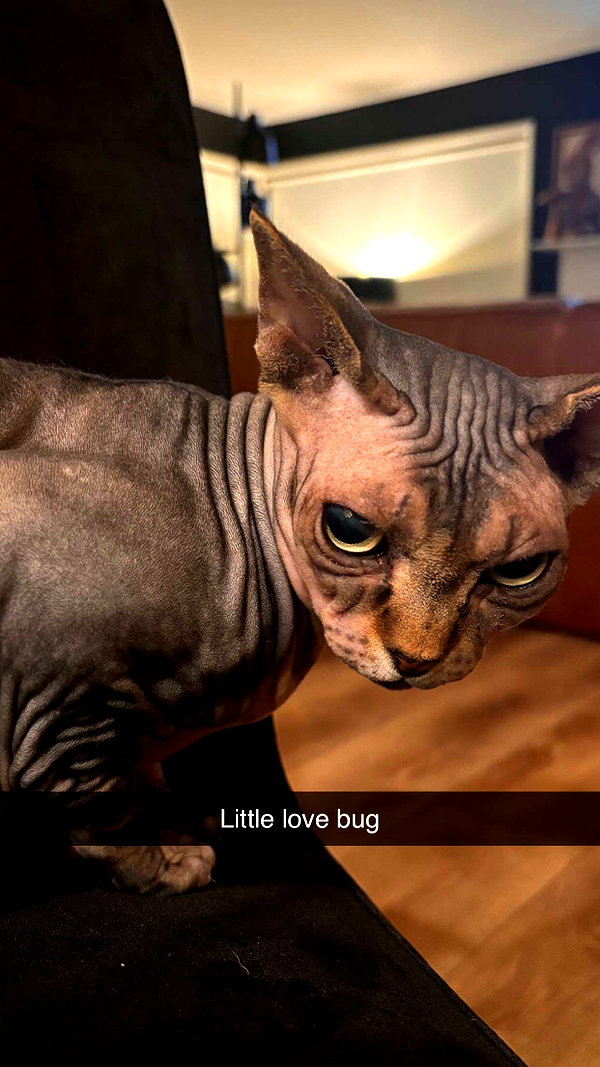 imchloebleu snapchat image archive image