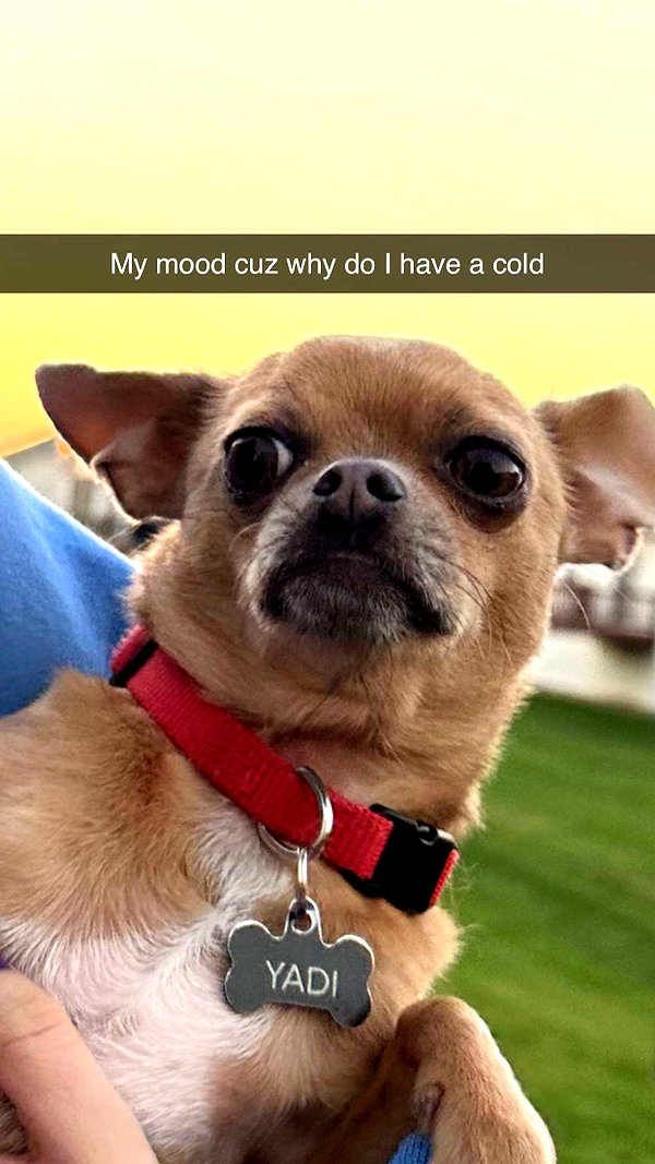 imchloebleu snapchat image archive image