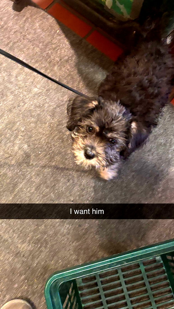 imchloebleu snapchat image archive image