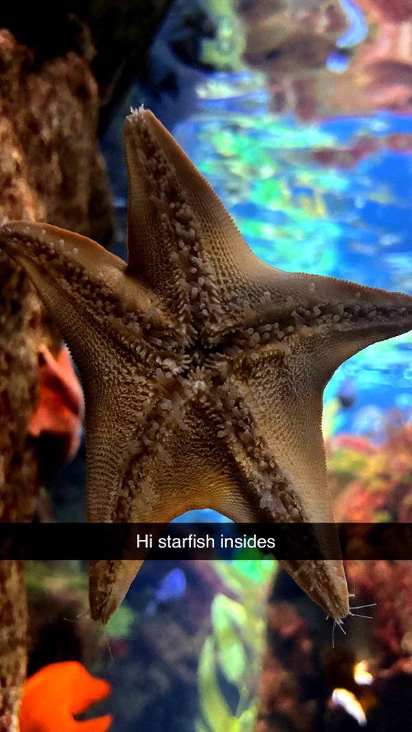 imchloebleu snapchat image archive image
