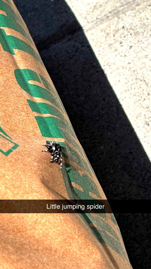 imchloebleu snapchat image archive image
