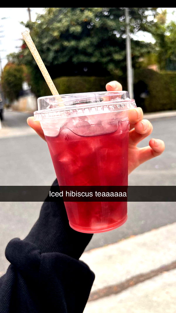 imchloebleu snapchat image archive image
