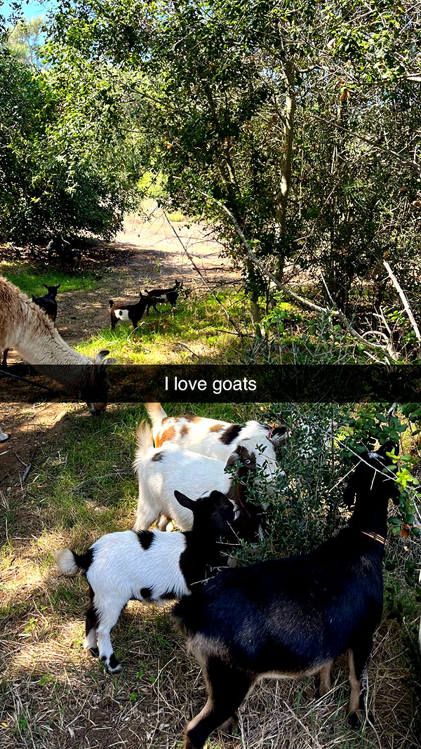 imchloebleu snapchat image archive image