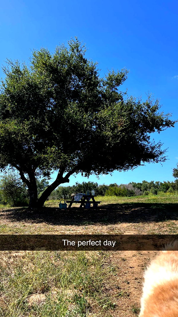 imchloebleu snapchat image archive image