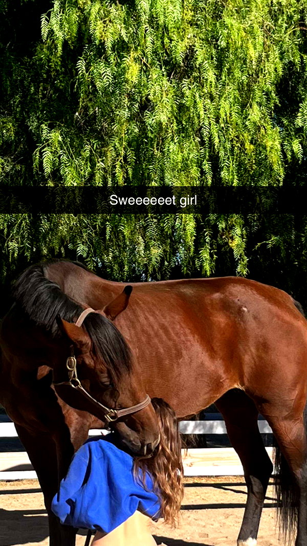 imchloebleu snapchat image archive image
