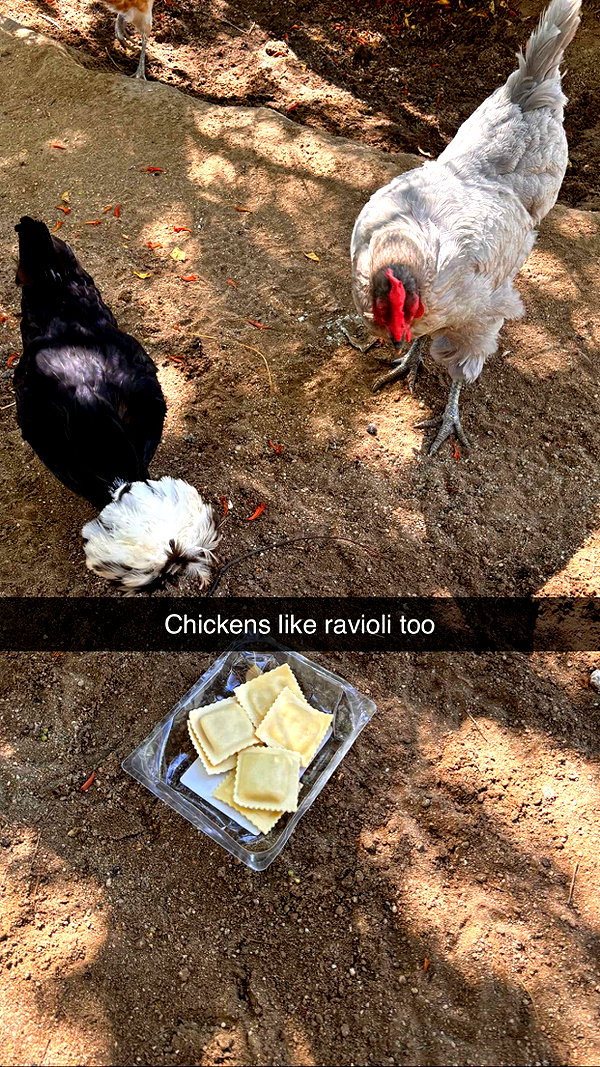 imchloebleu snapchat image archive image