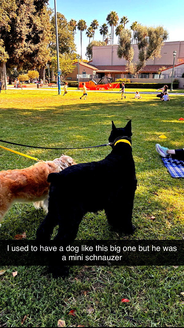 imchloebleu snapchat image archive image