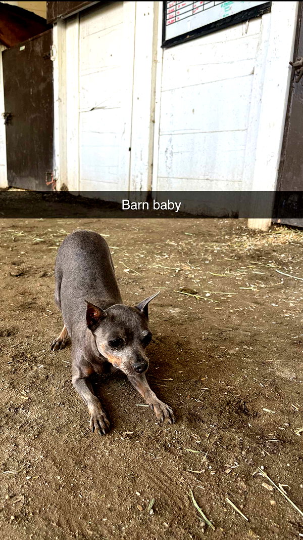 imchloebleu snapchat image archive image