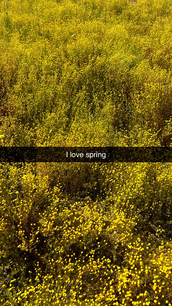 imchloebleu snapchat image archive image