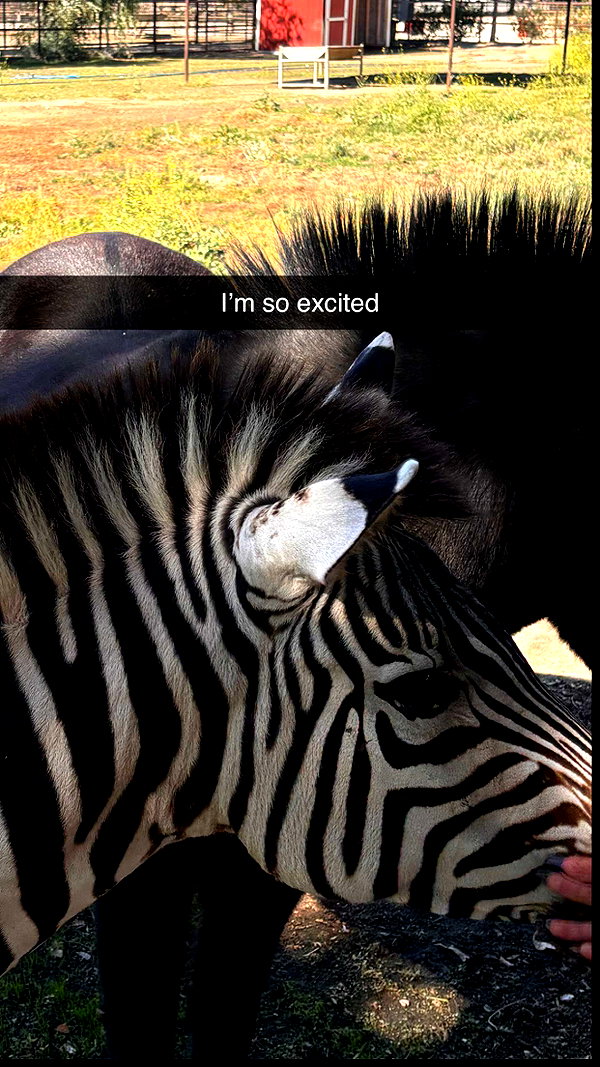 imchloebleu snapchat image archive image