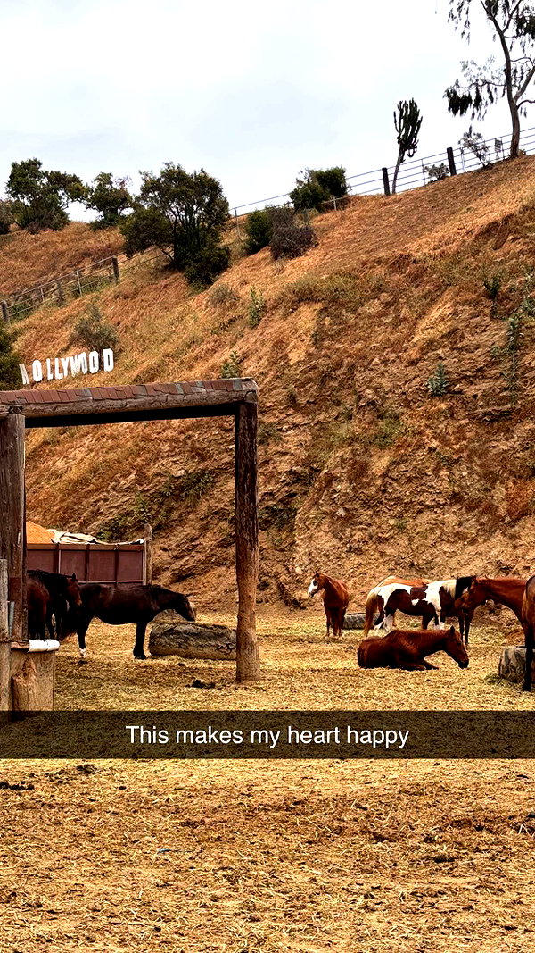 imchloebleu snapchat image archive image