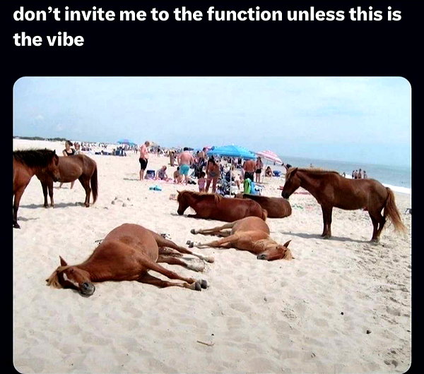 imchloebleu snapchat image archive image