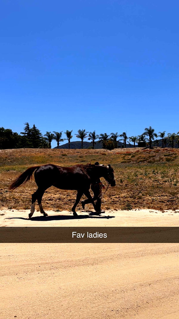 imchloebleu snapchat image archive image