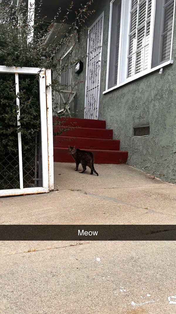 imchloebleu snapchat image archive image