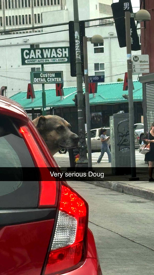 imchloebleu snapchat image archive image