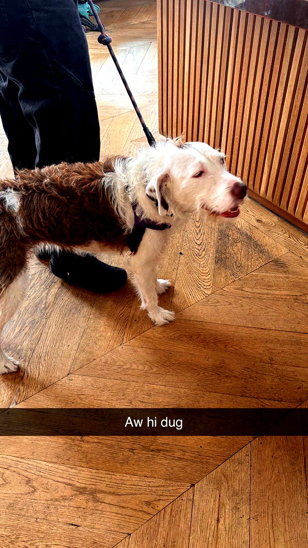 imchloebleu snapchat image archive image
