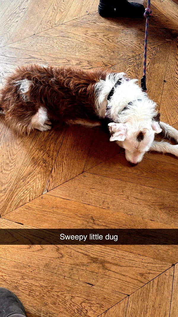 imchloebleu snapchat image archive image