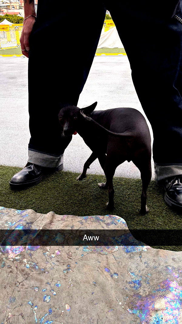 imchloebleu snapchat image archive image