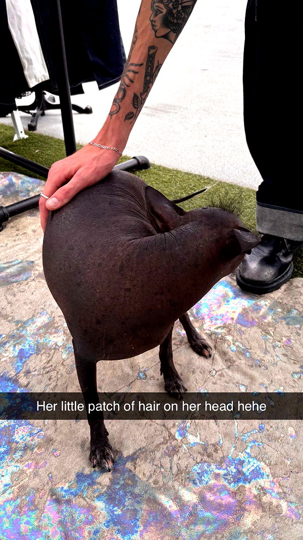 imchloebleu snapchat image archive image