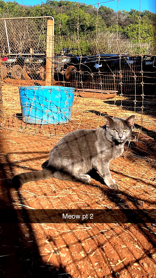 imchloebleu snapchat image archive image