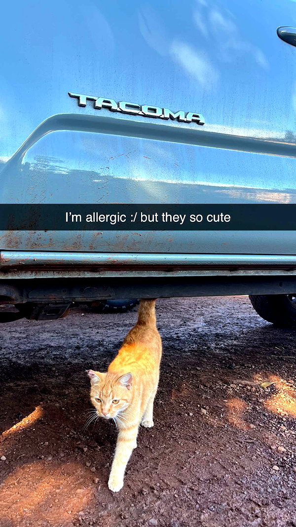imchloebleu snapchat image archive image