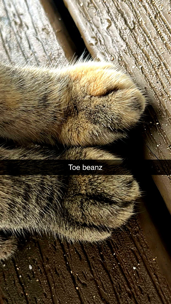 imchloebleu snapchat image archive image