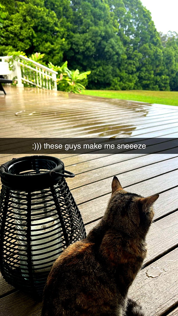 imchloebleu snapchat image archive image