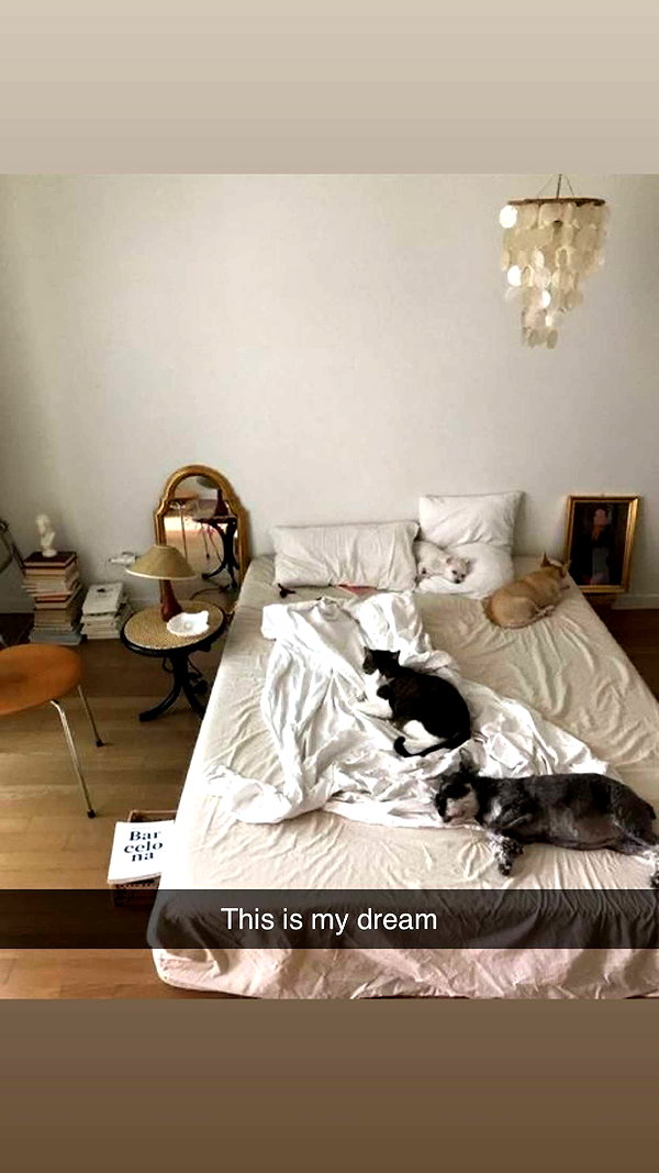 imchloebleu snapchat image archive image