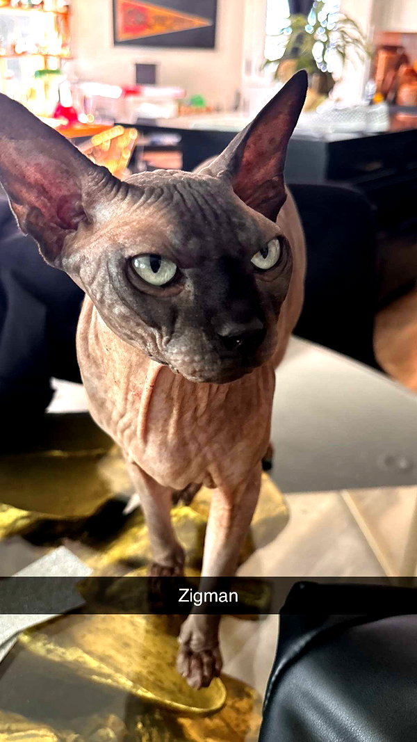 imchloebleu snapchat image archive image